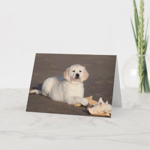 Cartão Golden Retriever Photo Card