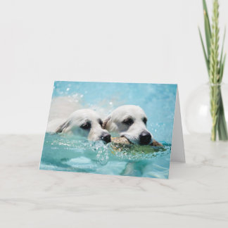 Cartão Golden Retriever Photo Card
