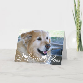 Cartão Golden Retriever Photo Image I Love You