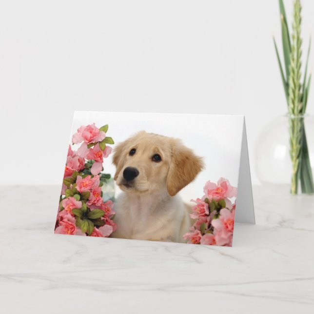 Cartão Golden Retriever Puppy and Pink Flowers (Frente)