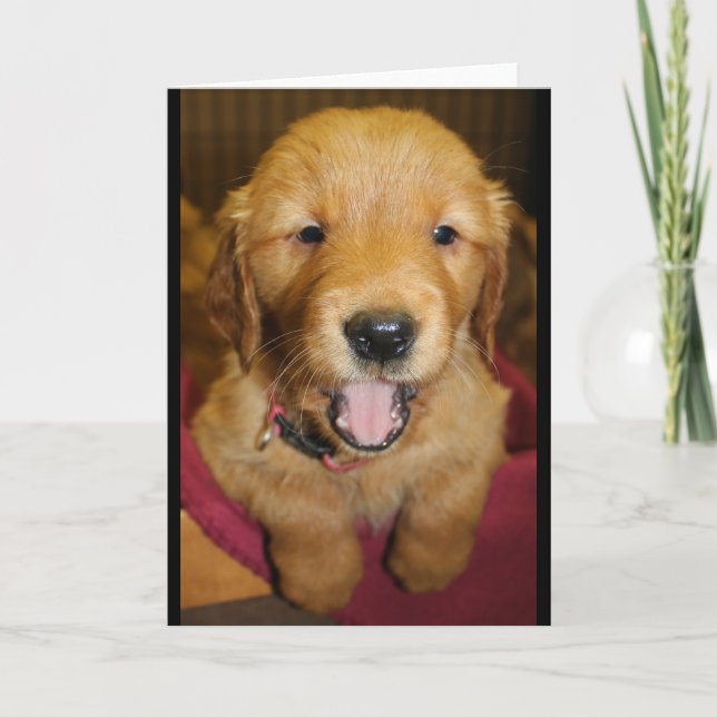 Cartão Golden Retriever Puppy Any Occasion (Frente)