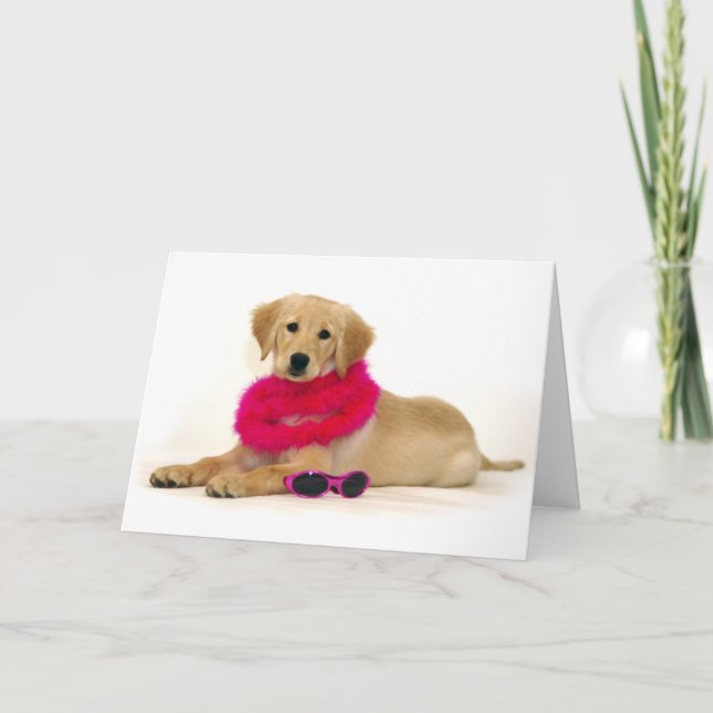Cartão Golden Retriever Puppy Diva (Frente)