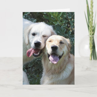 Cartão Golden Retriever Puppy Greeting Card