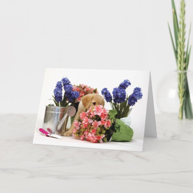 Cartão Golden Retriever Puppy Smelling the Flowers (Frente)
