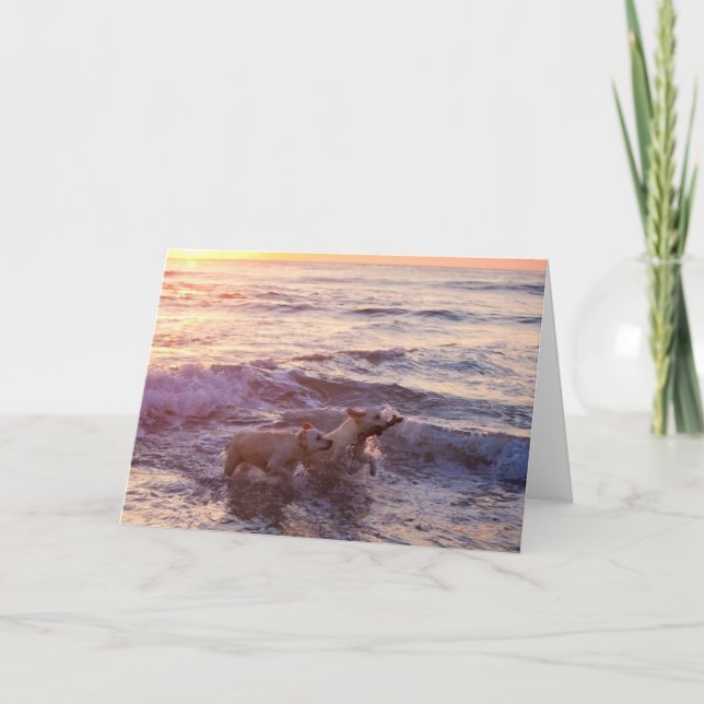 Cartão Golden Retrievers Blank Photo Greeting Card (Frente)