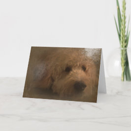Cartão Goldendoodle blank card
