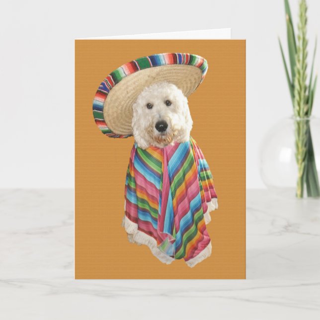 Cartão Goldendoodle Cinco de Mayo card (Frente)