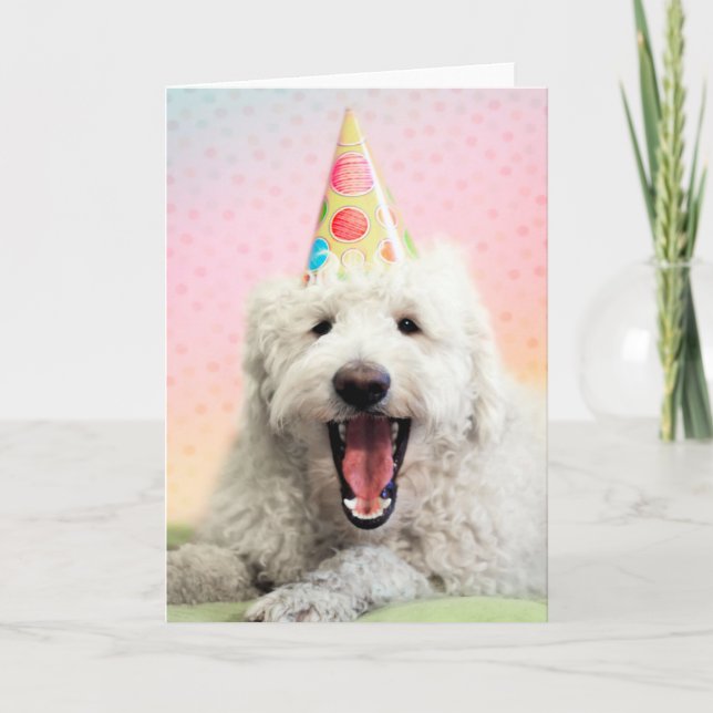 Cartão Goldendoodle com chapéu de festa (Frente)