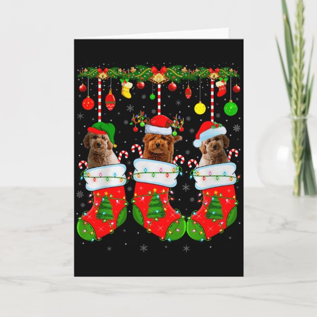 Cartão Goldendoodle Dog In Christmas Socks Funny Pet Dog  (Frente)