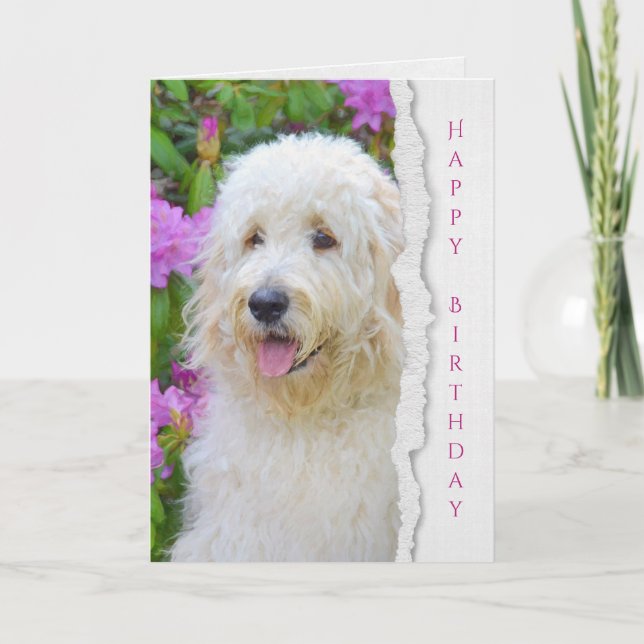 Cartão Goldendoodle dog in garden birthday (Frente)