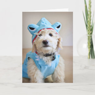 Cartão Goldendoodle In Shark Costume
