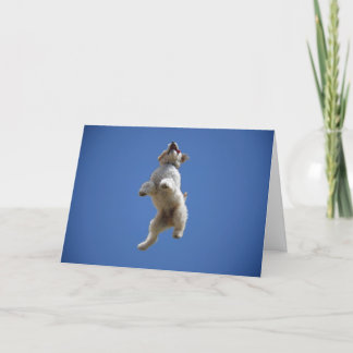 Cartão Goldendoodle Jumping Greeting Card