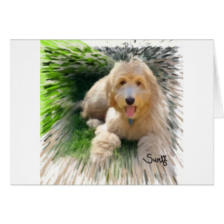 Cartão Goldendoodle Labradoodle