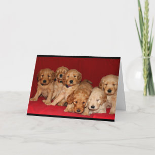 Cartão Goldendoodle Puppies Thinking Of You