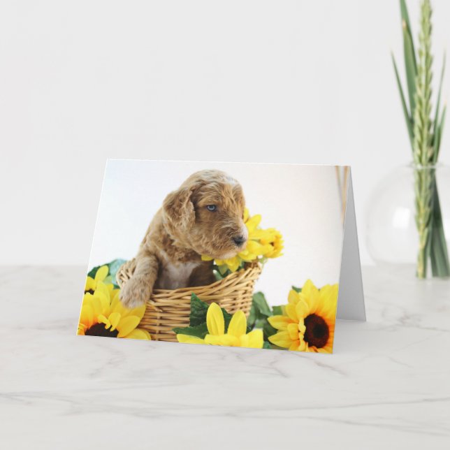 Cartão Goldendoodle Puppy Greeting Card (Frente)