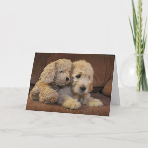 Cartão Goldendoodle Puppy Greeting Card