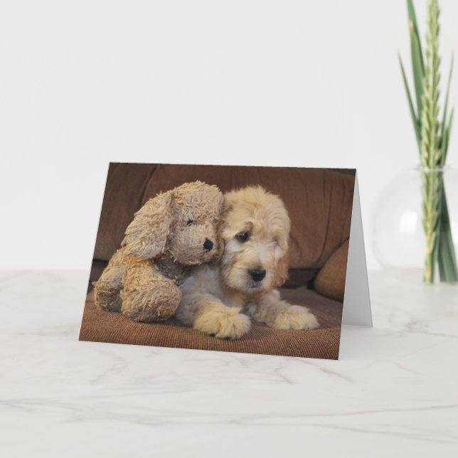 Cartão Goldendoodle Puppy Greeting Card (Frente)