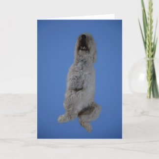 Cartão Goldendoodle Sitting Up Greeting Card