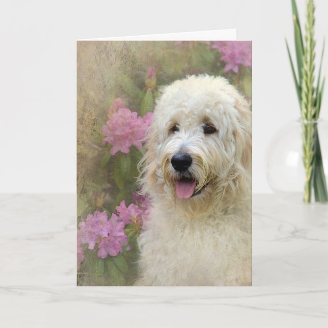 Cartão Goldendoodle with Texture (Frente)