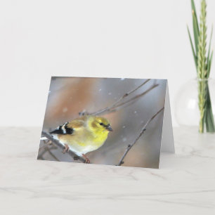 Cartão Goldfinch