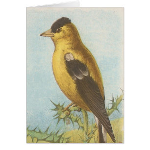 Cartão Goldfinch