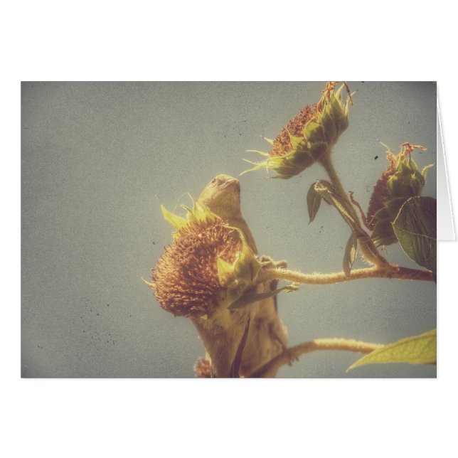 Cartão Goldfinch (Frente Horizontal)