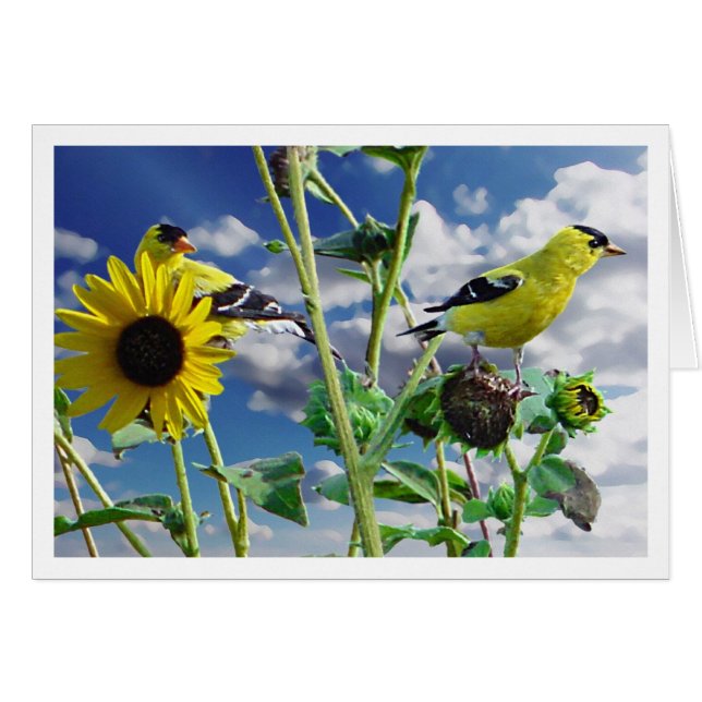 Cartão GoldFinch (Frente Horizontal)