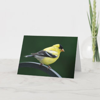 Cartão Goldfinch