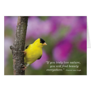 Cartão Goldfinch