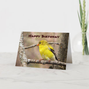 Cartão Goldfinch Birthday