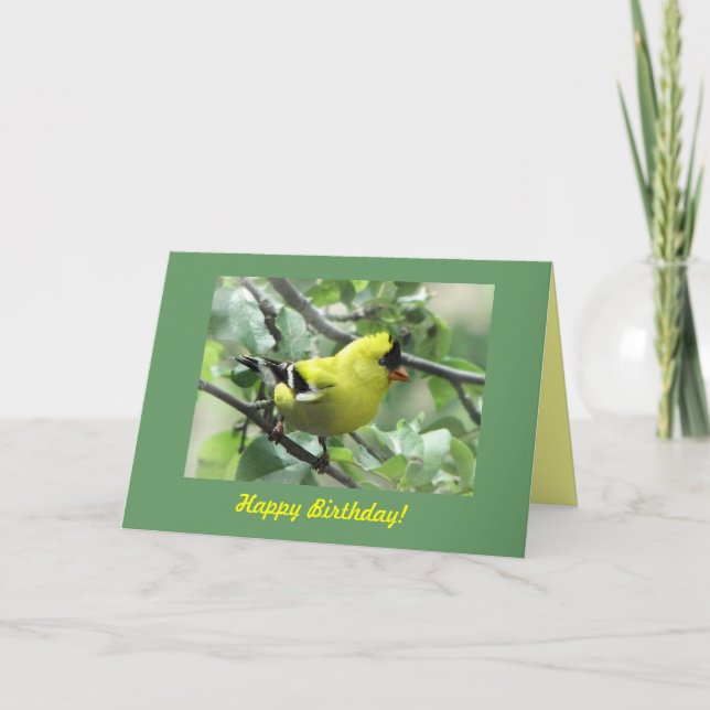 Cartão Goldfinch Birthday (Frente)