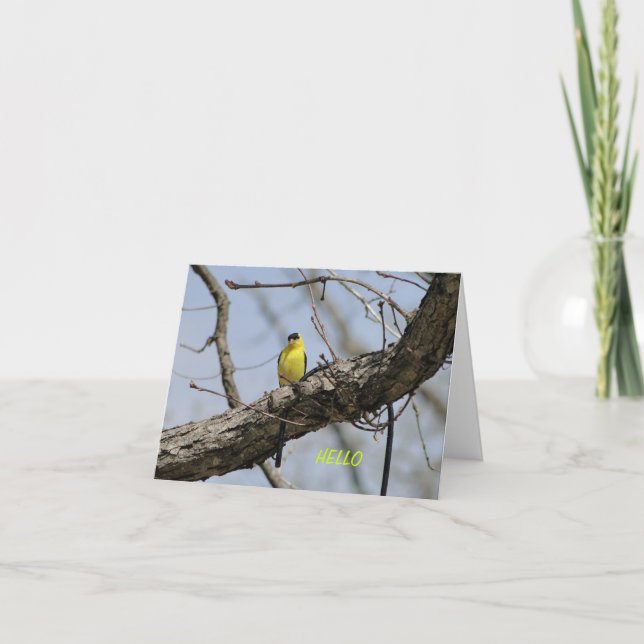 Cartão Goldfinch, Bright and Joyful (Frente)