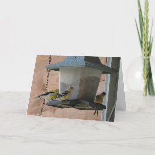 Cartão Goldfinch/Cheer