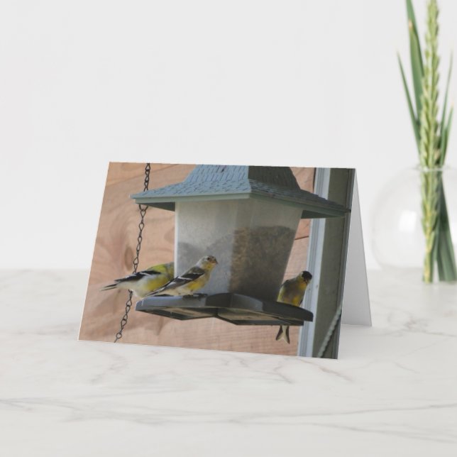 Cartão Goldfinch/Cheer (Frente)