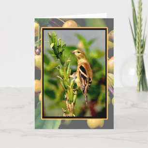 Cartão Goldfinch do outono & Crabapples Notecard