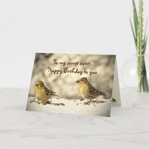 Cartão Goldfinch e Pine Siskin Birthday