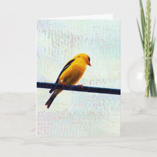 Cartão Goldfinch em uma linha elétrica