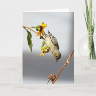 Cartão Goldfinch Notecard