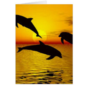 Cartão golfinho