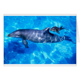 Cartão golfinhos