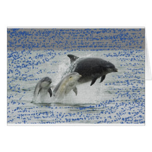 Cartão Golfinhos