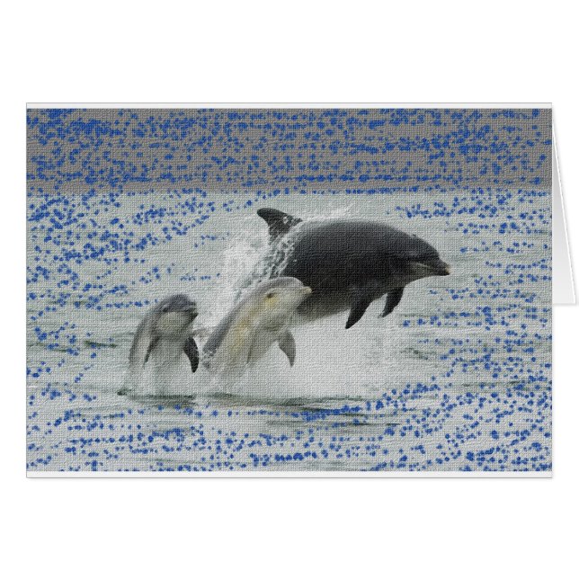 Cartão Golfinhos (Frente Horizontal)