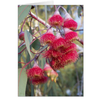 Cartão Goma de Flor