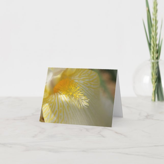 Cartão Good Morning, Iris! (Frente)