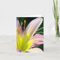 Good morning Lily!  Notecard