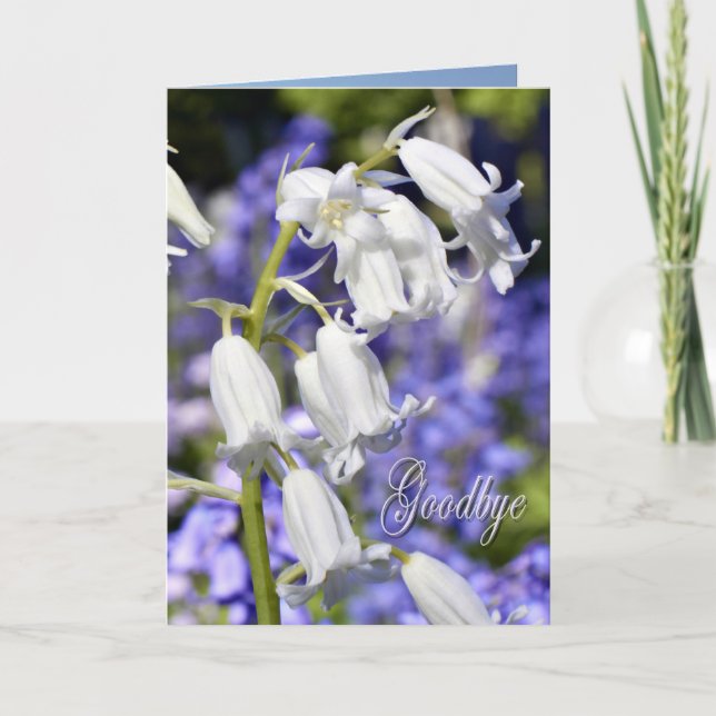 Cartão Goodbye, sympathy card (Frente)