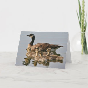 Cartão Goose with Chicks Greeting Card
