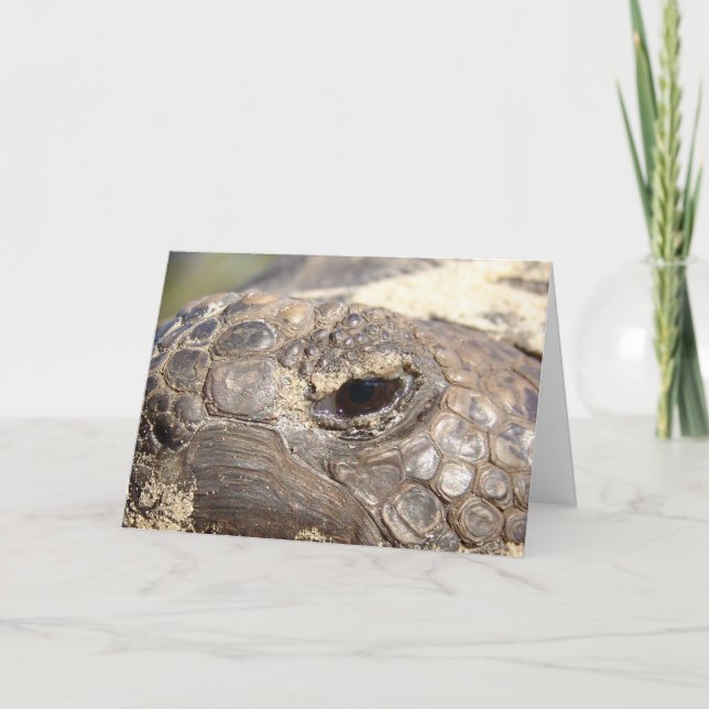 Cartão Gopher Turtle not happy (Frente)