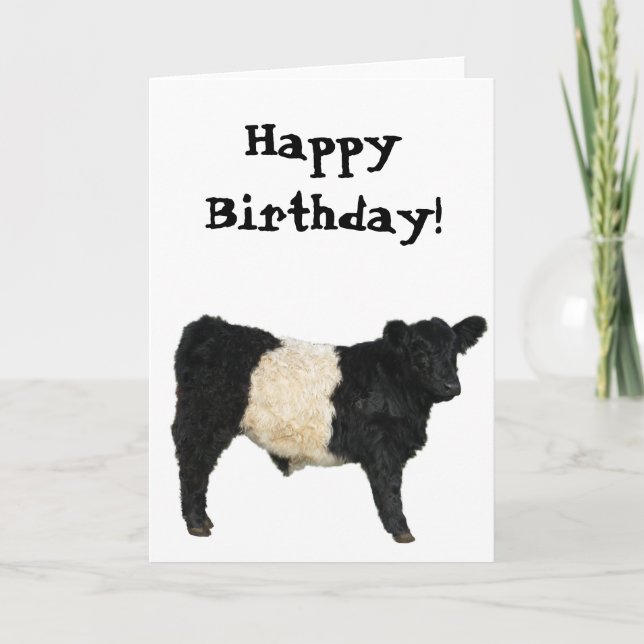 Cartão Gorgeous Belted Galloway Steer Cutout (Frente)