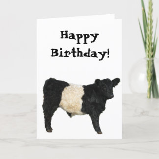 Cartão Gorgeous Belted Galloway Steer Cutout